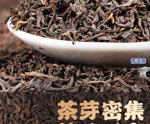 熟普洱茶的散茶-熟普洱茶的散茶是什么