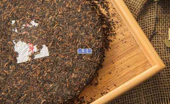 青岛存放普洱茶-青岛存放普洱茶的地方