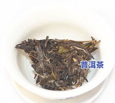 古树茶冰岛生茶价格是多少，探究古树茶冰岛生茶的价格，让你心中有数！