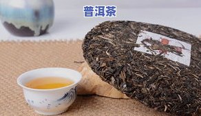 普洱茶陈泰昌号-陈泰昌普洱茶价格