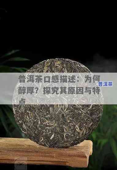 普洱茶醇厚是什么意思？深入解析其含义与特点