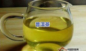 冰岛生茶可以用壶煮吗？探讨其适宜性和起因