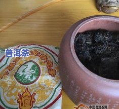 普洱茶双雄2004年：金针金芽与常规版的对比