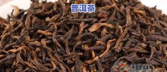 普洱茶双雄2004年：金针金芽与常规版的对比