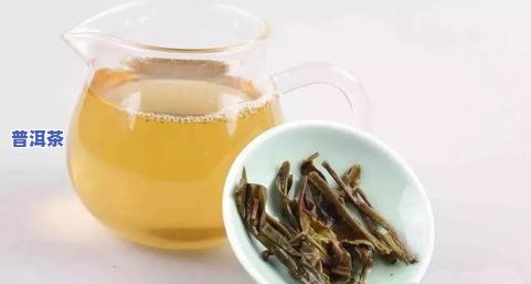 普洱茶散茶冰岛：口感怎样？值得一试吗？