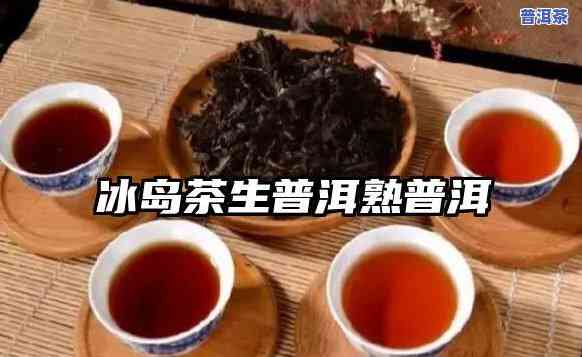 探究冰岛熟茶与生茶的区别，从口感、色泽到营养价值全面解析！