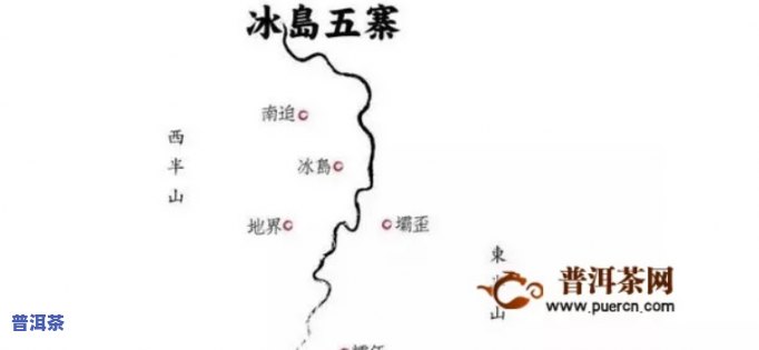 易武茶与冰岛茶：口感对比与选择建议