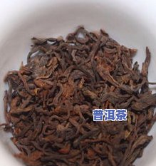 冰岛茶：熟茶还是生茶？探讨其品种特性