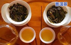 冰岛茶：熟茶还是生茶？探讨其品种特性