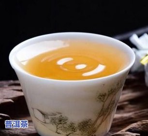 普洱茶昔归与冰岛：口感对比评测