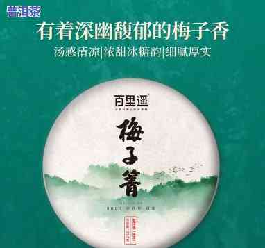 探索梅子菁普洱茶：价格、特点与口感全面解析