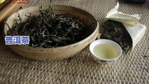 冰岛大叶茶是什么茶-冰岛大叶茶是什么茶类