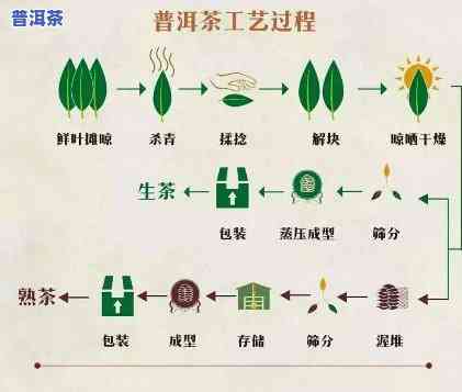 普洱茶生产工艺的改进与措施探讨