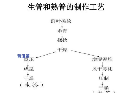 普洱茶生产工艺的改进与措施探讨