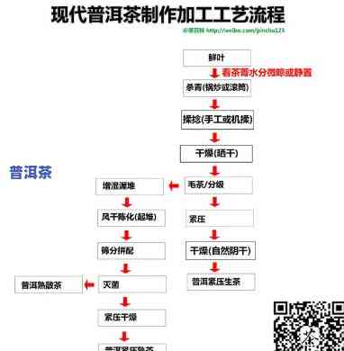 普洱茶工艺的关键，揭示普洱茶的特别魅力：工艺关键解析