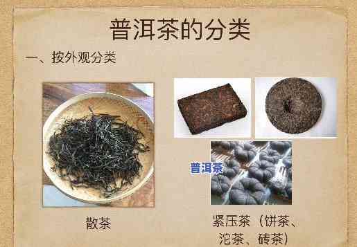 云南几款普洱茶-云南几款普洱茶品种