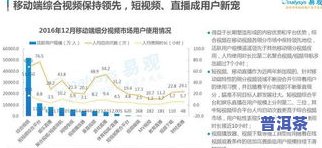 深度解析：云南普洱茶客户画像与市场营销现状