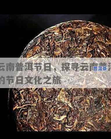 普洱茶节日，庆祝普洱茶节日：品味传统文化的瑰宝