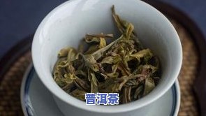 冰岛生茶闻不到味道-冰岛生茶闻不到味道怎么回事