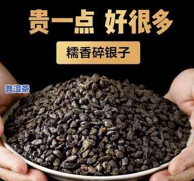 九五碎银子茶，品味贵族享受：探索九五碎银子茶的神秘世界