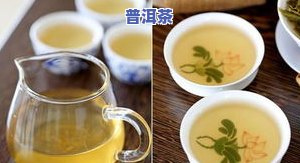 卖普洱茶的菇娘-卖普洱茶的菇娘叫什么