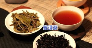 普洱茶：你真的熟悉它对茶的热爱吗？探究其起因及在上的讨论