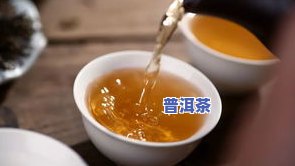 普洱茶：你真的熟悉它对茶的热爱吗？探究其起因及在上的讨论