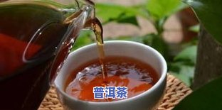 喜欢吃普洱茶叶，品味生活：探索普洱茶叶的魅力