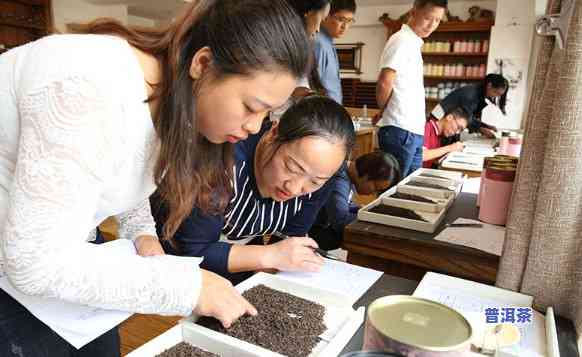 普洱茶培训学校：专业学习普洱茶知识与技能的场所