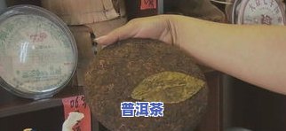 大邦东普洱茶有哪些品种-大邦东普洱茶有哪些品种的