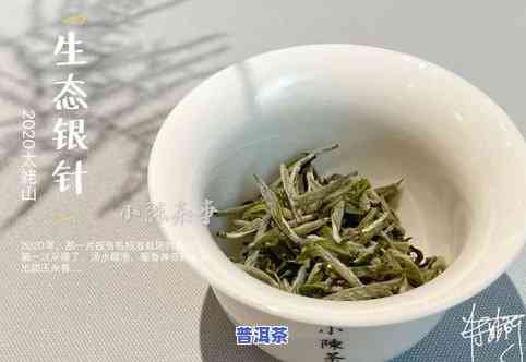 七星班章普洱茶价格，揭秘七星班章普洱茶价格：一饼价值几何？