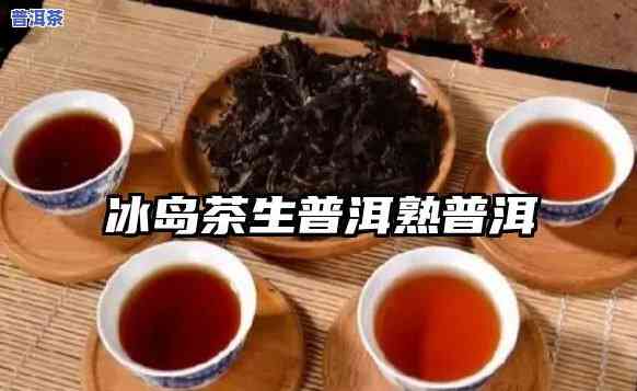 普洱茶干仓是什么意思，什么是干仓普洱茶？详解其含义与特点