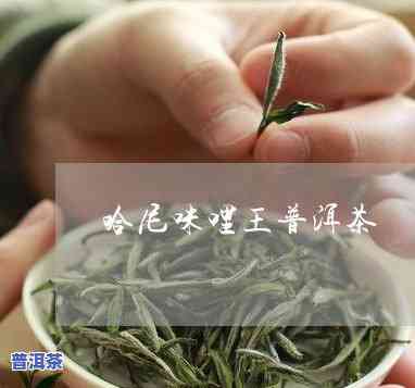 云南普洱茶批发价格：最新市场行情与批发网站推荐