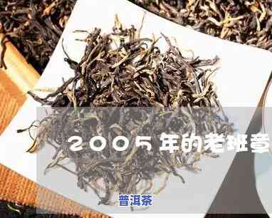 普洱茶直播怎么说，普洱茶直播：探索茶文化的魅力与传统