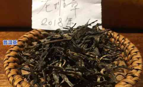 南方怎么储藏熟普洱-南方怎么储藏熟普洱茶