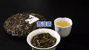 易江号老班章怎么样-易江号茶有收藏价值吗