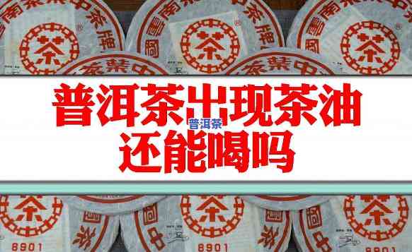 勐海老班章生态茶厂-勐海班章生态茶厂2004年价格