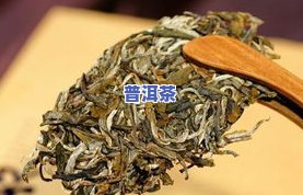 云南普洱七子茶价格表，探究云南普洱七子茶的价格表，熟悉其市场价格走势与品质差异