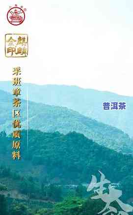 2002年宫廷普洱熟茶价格，探究2002年宫廷普洱熟茶的价格走势与市场表现