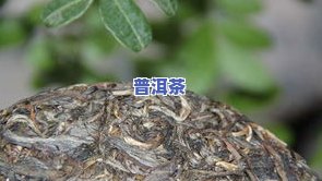 散茶不叫普洱茶吗为什么-散茶不叫普洱茶吗为什么呢