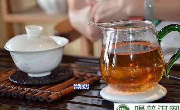 老班章古树茶厂：举世无双的官网，探索顶级普洱茶的魅力