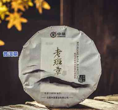 南糯山普洱茶的卖点和特点介绍，探秘南糯山普洱茶：特别的卖点与特点解析