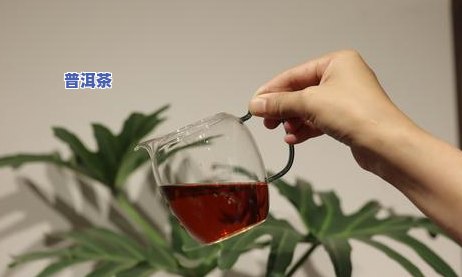 98下关普洱茶生普-下关普洱茶8853