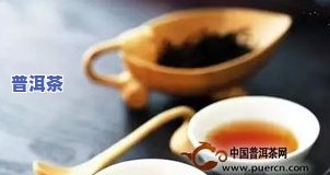 八角亭普洱茶哪一年产的品质更佳？