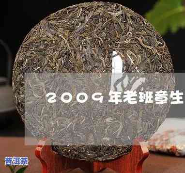 2009年勐海老班章生茶价格与茶叶市场走势分析