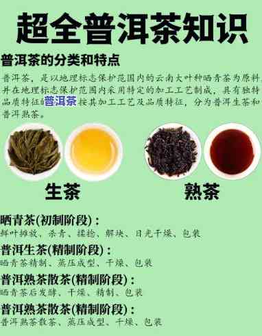 勐海老班章普洱茶价格全揭秘：多少钱一饼？最新价格表大公开！