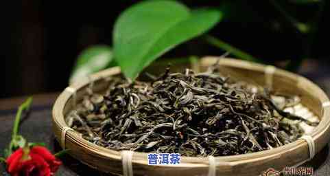 福东老班章古树茶厂-福海老班章古树饼茶