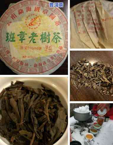 为什么云南的茶都叫普洱茶？探究其命名起因与分类