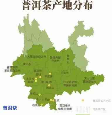 普洱茶收购联系方法大全：电话、地址及查询方法