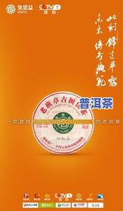 集思益2018老班章茶：价格对比与鉴赏指南